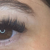 0.03 Mega Volume Eyelash Extensions Single Length