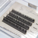 Mini Lash Trays